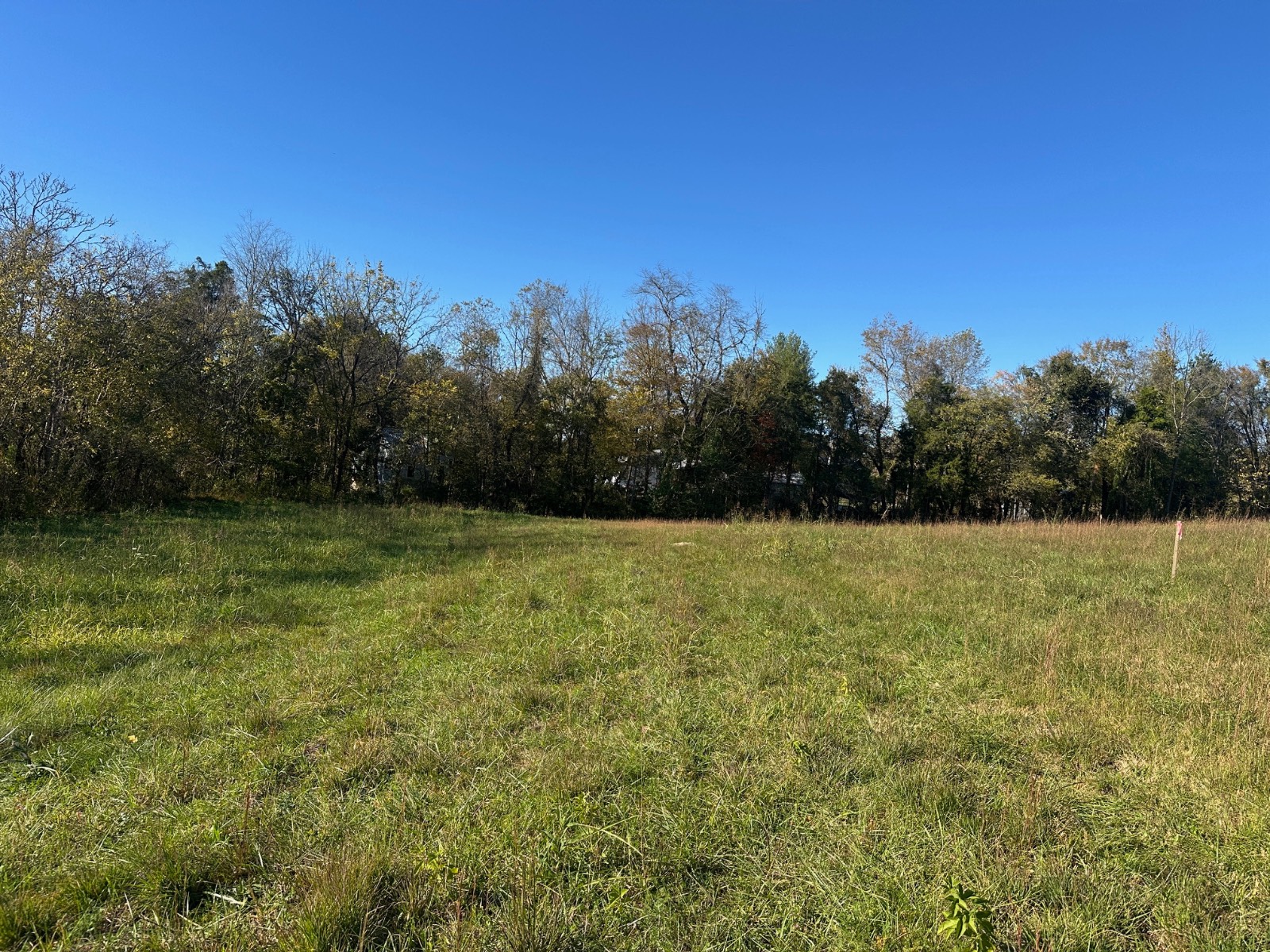 61 South/River Breeze Dr.