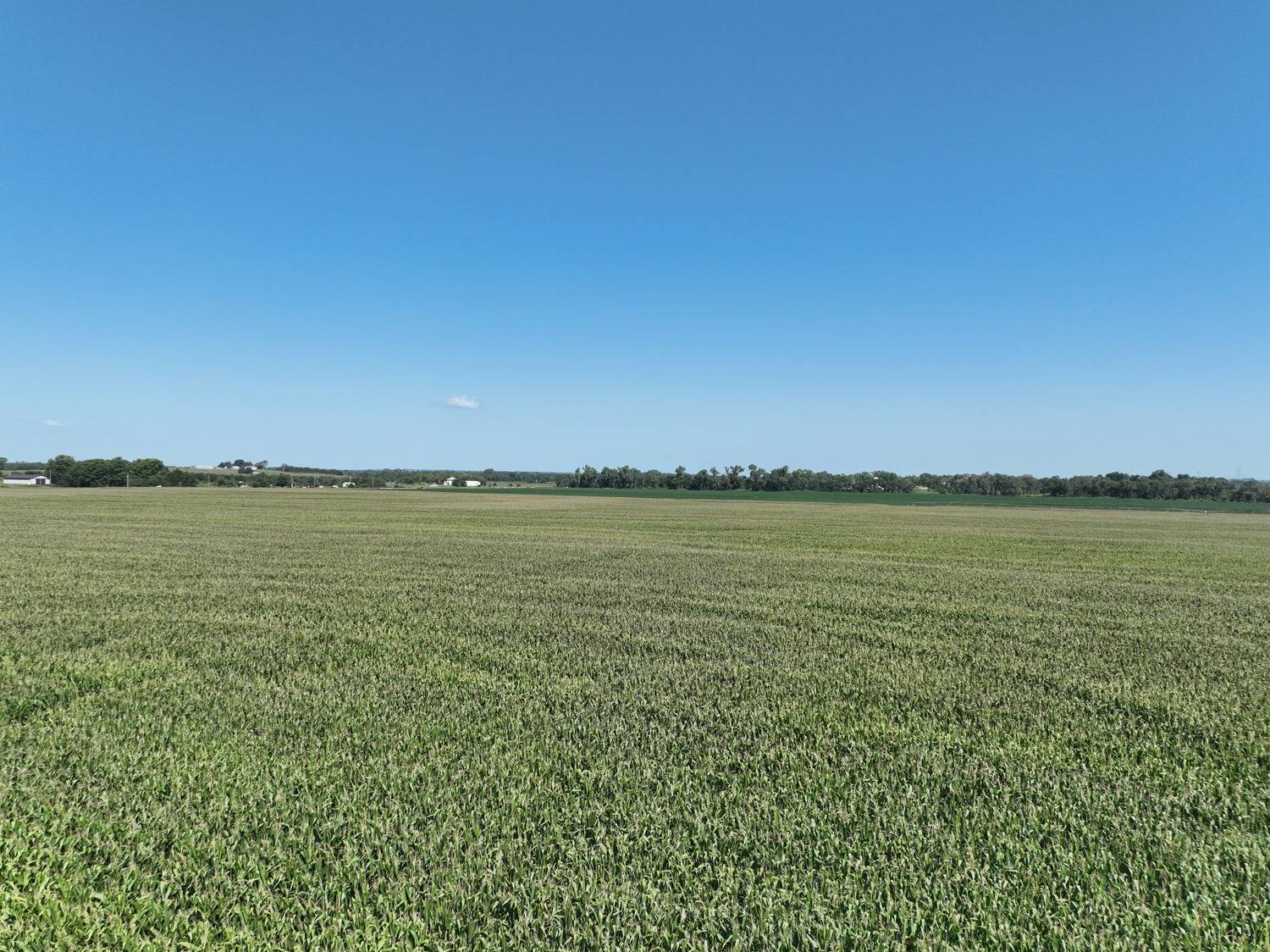 Photo 11 of 14 of land listing at 837 Rd, Norfolk, NE 68701