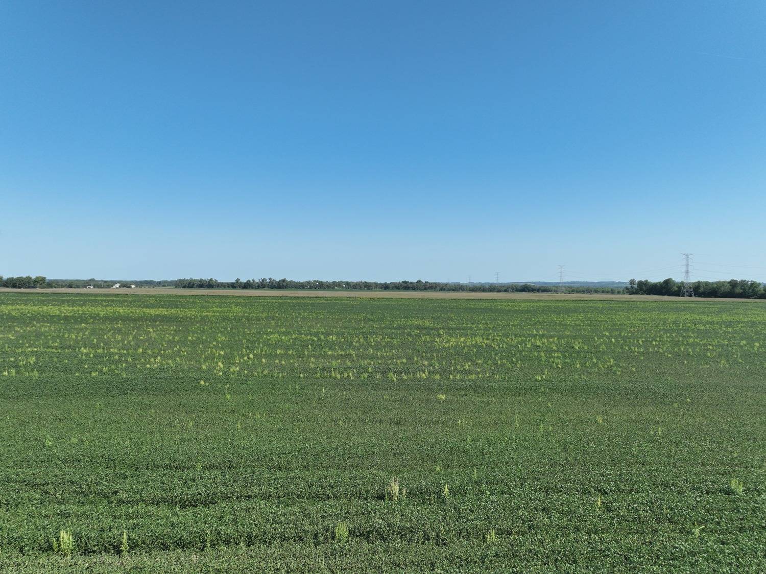 Photo 12 of 14 of land listing at 837 Rd, Norfolk, NE 68701