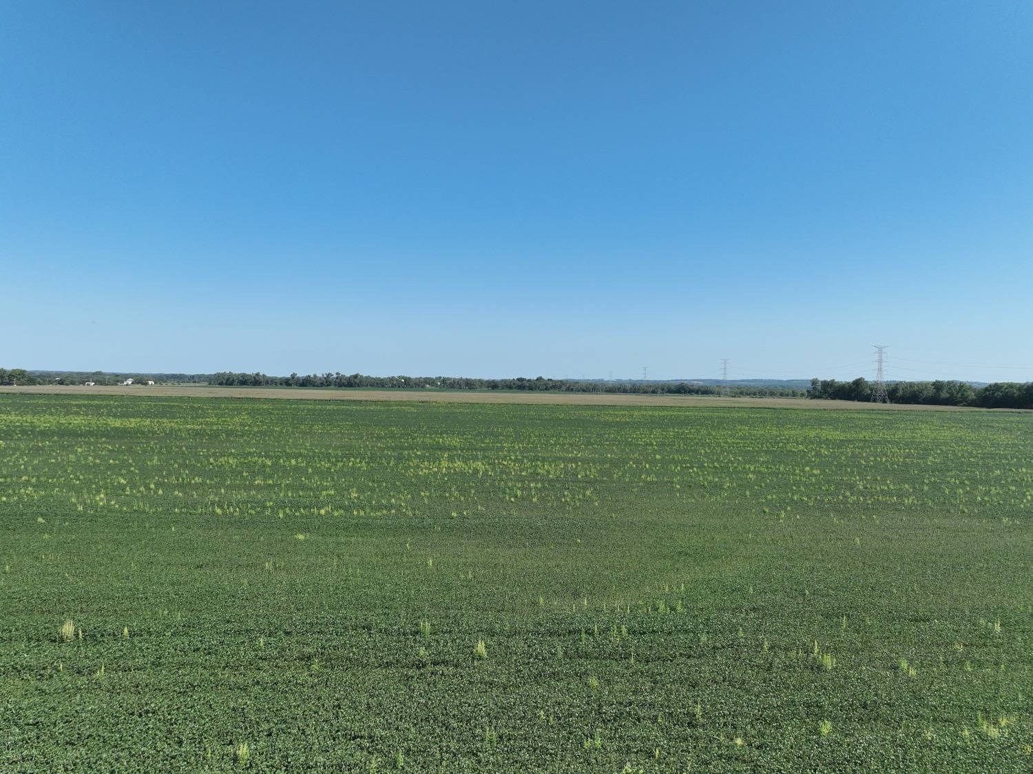 Photo 1 of 14 of land listing at 837 Rd, Norfolk, NE 68701