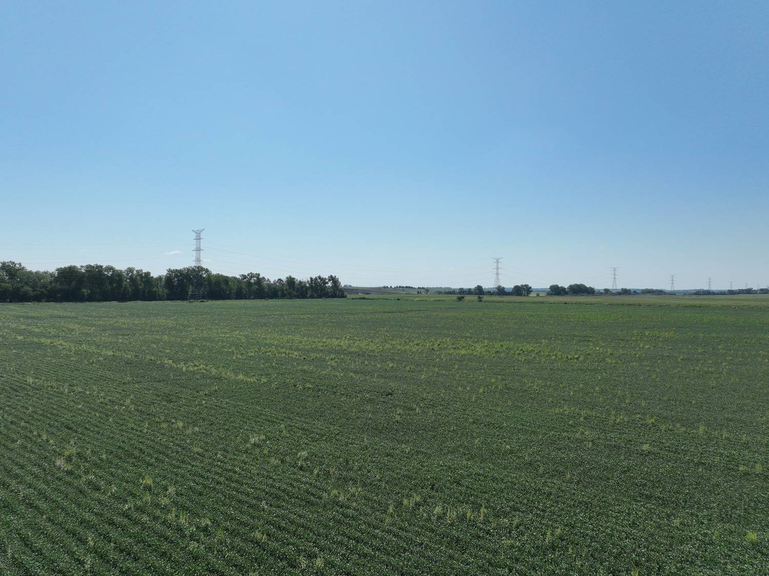 Photo 9 of 14 of land listing at 837 Rd, Norfolk, NE 68701