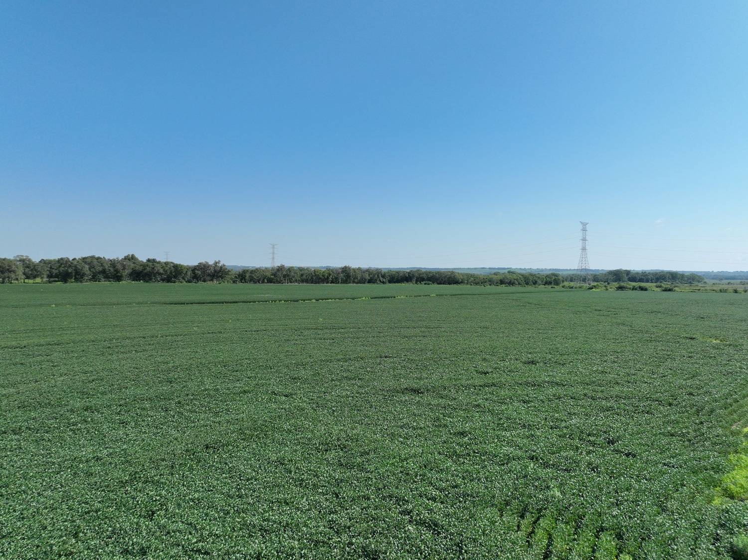 Photo 6 of 14 of land listing at 837 Rd, Norfolk, NE 68701
