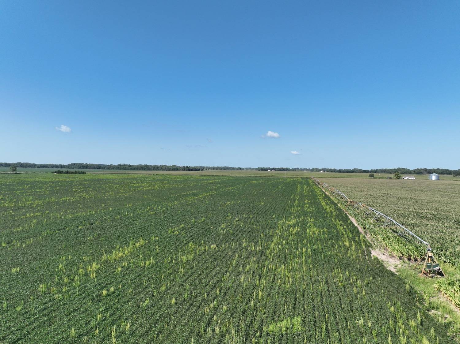 Photo 10 of 14 of land listing at 837 Rd, Norfolk, NE 68701