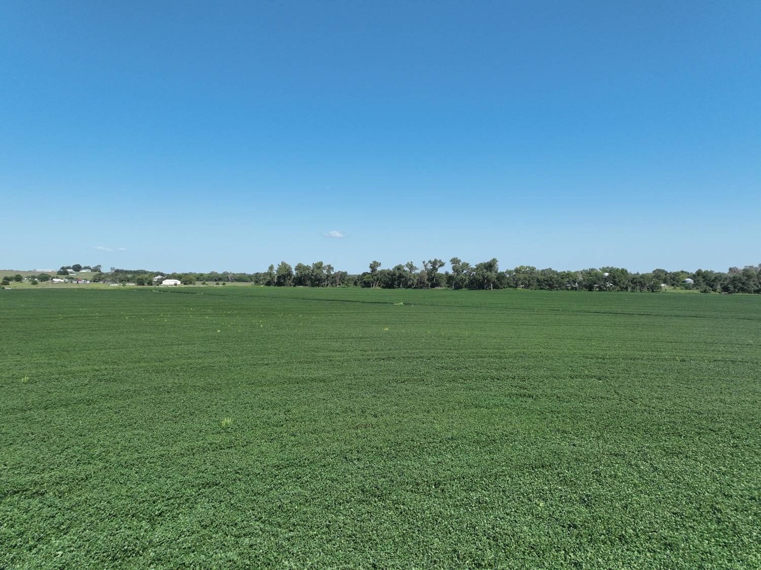 Photo 7 of 14 of land listing at 837 Rd, Norfolk, NE 68701