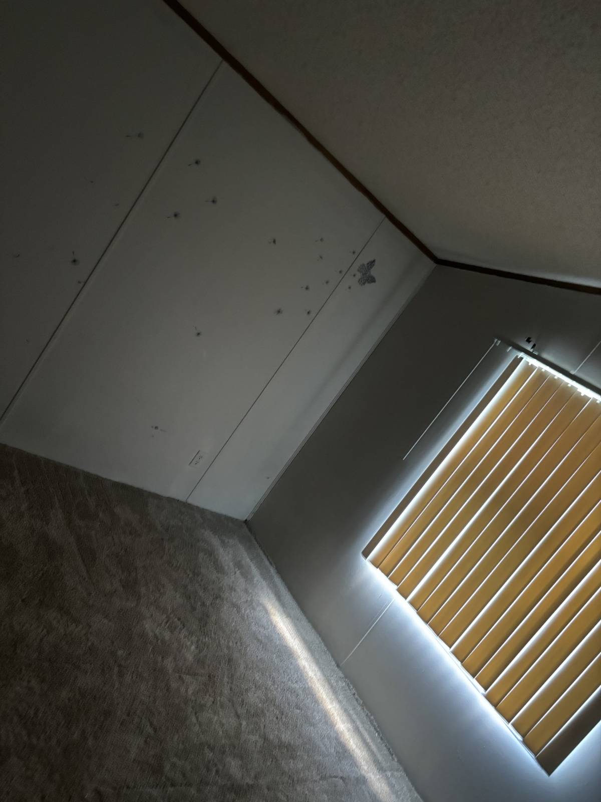 11590231-SpJmRWQfWTtHCf4H.jpg