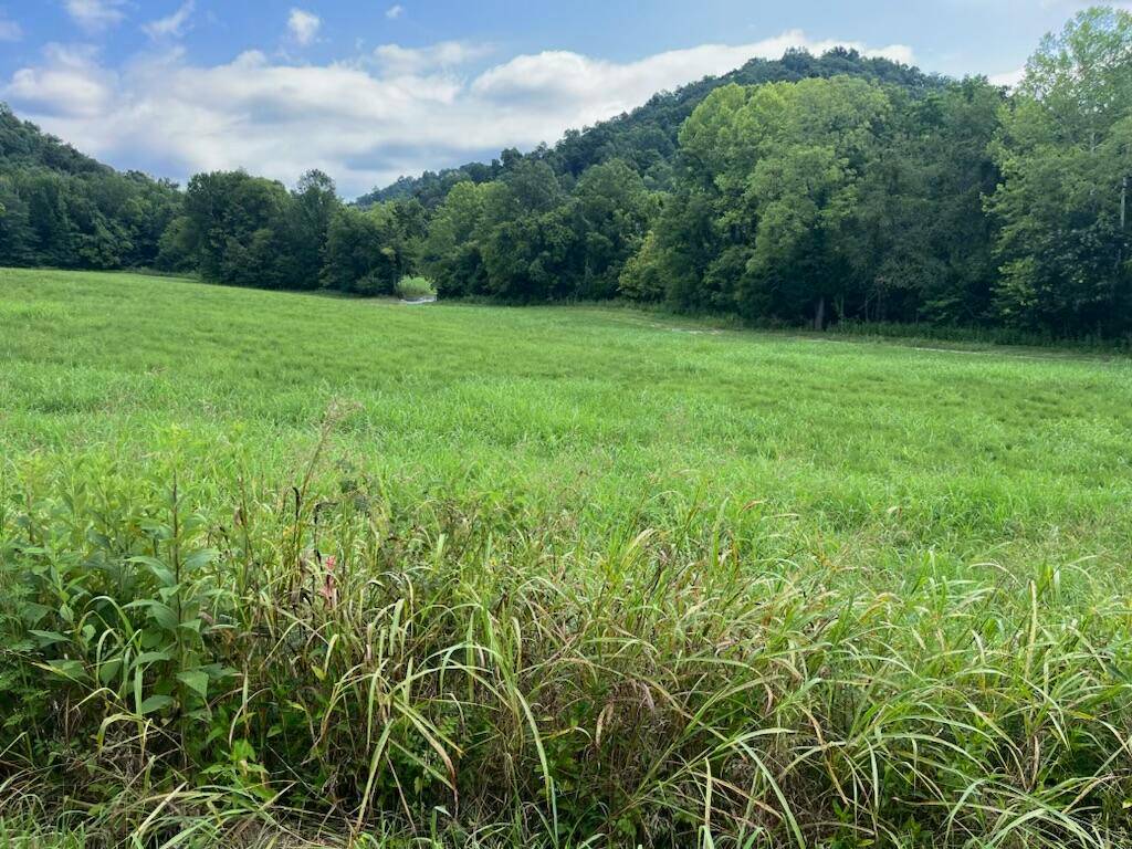 15 Long Hollow Acres, #15