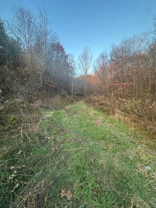 325 Cane Creek Road