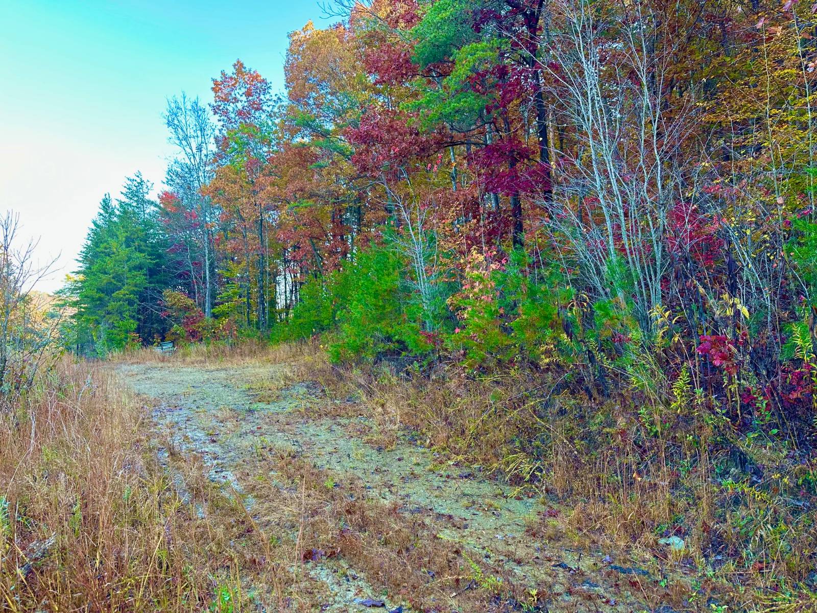 1350 Rube Brown Road