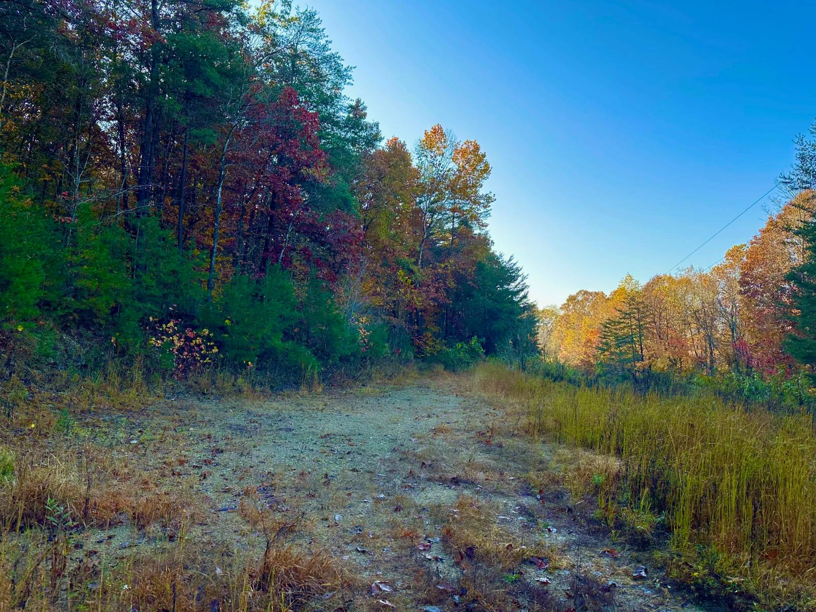 1350 Rube Brown Road
