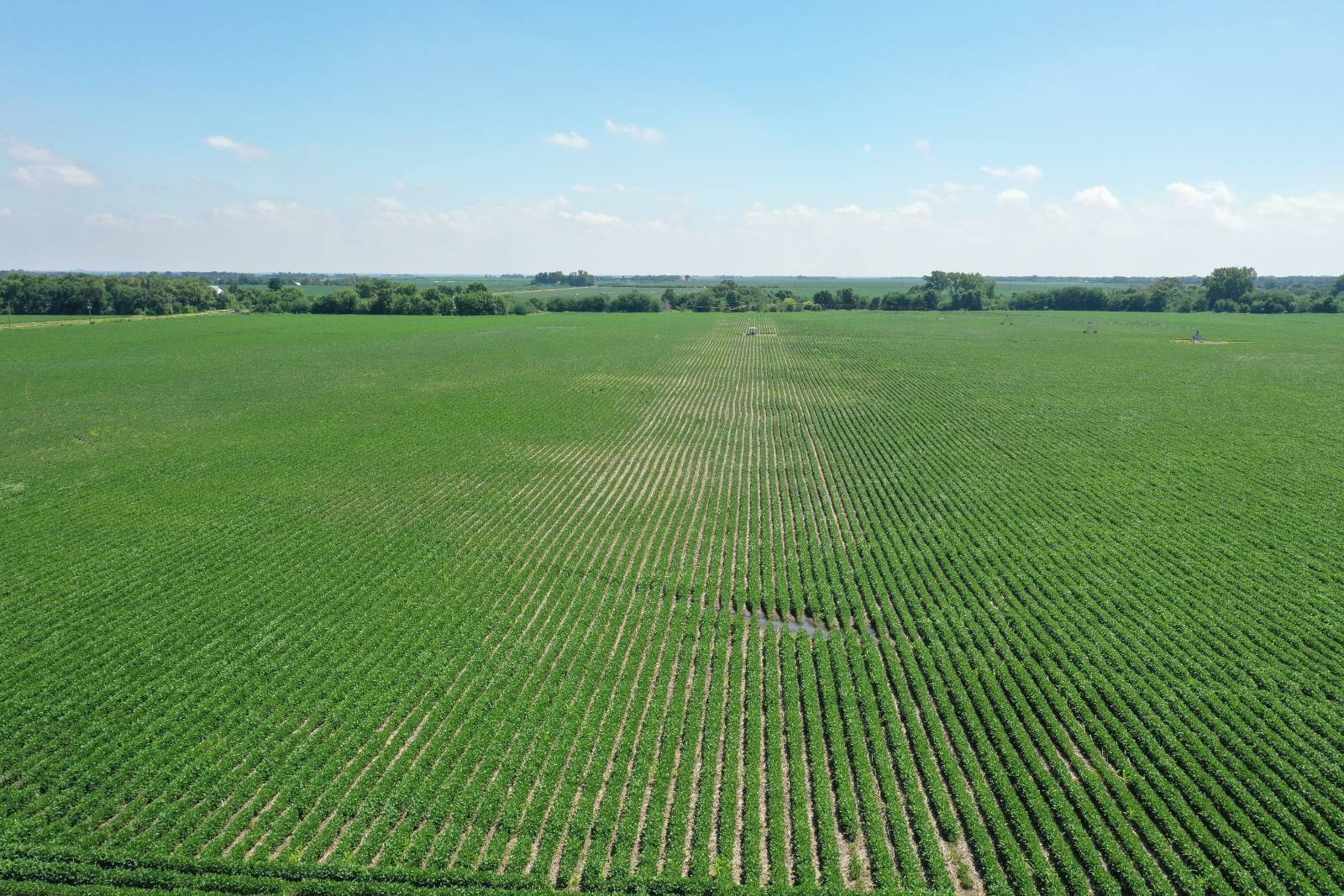 Photo 2 of 19 of land listing at 00 11th RD, Archer, NE 68816