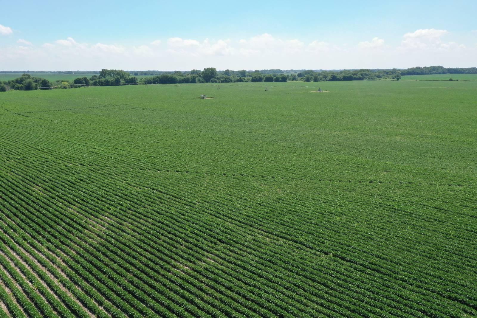 Photo 1 of 19 of land listing at 00 11th RD, Archer, NE 68816