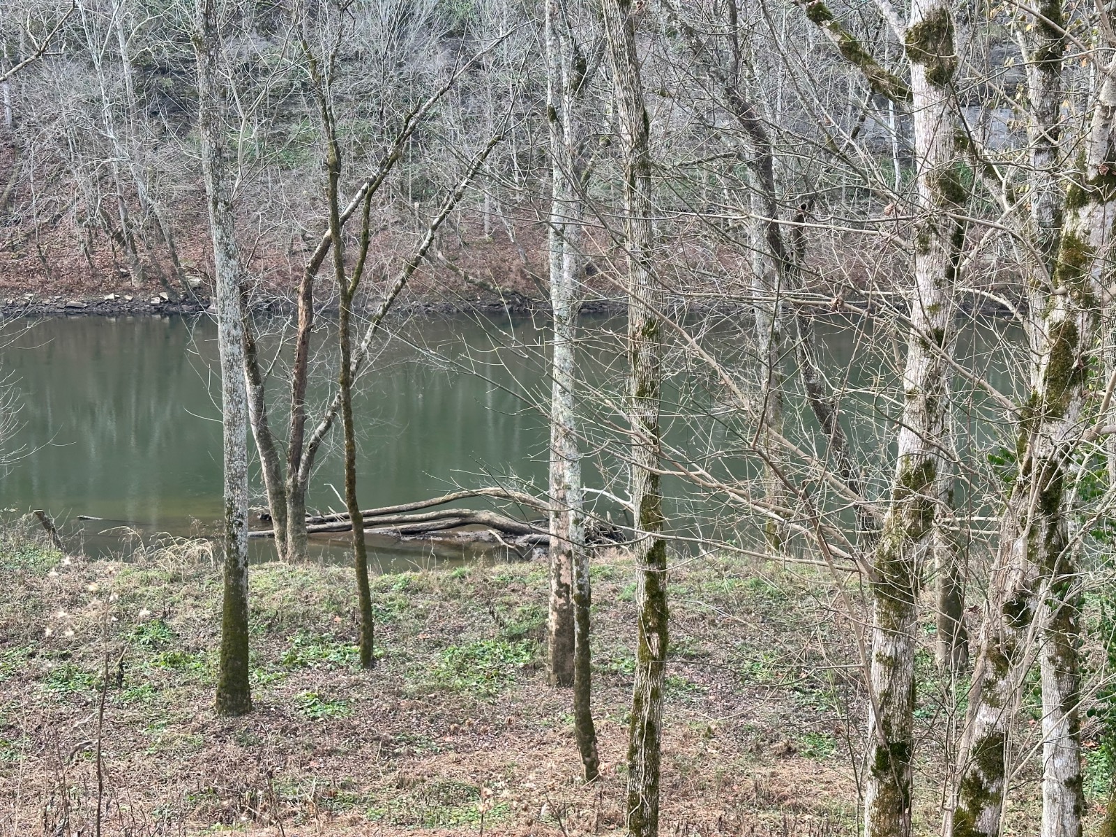 21 Monkey Bluff Road