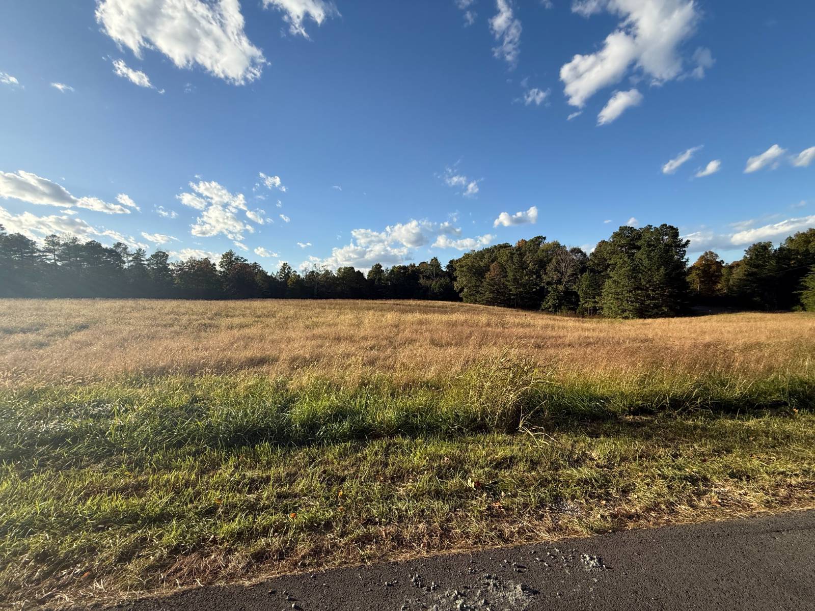 0 Canyon Run Road, Lot 16