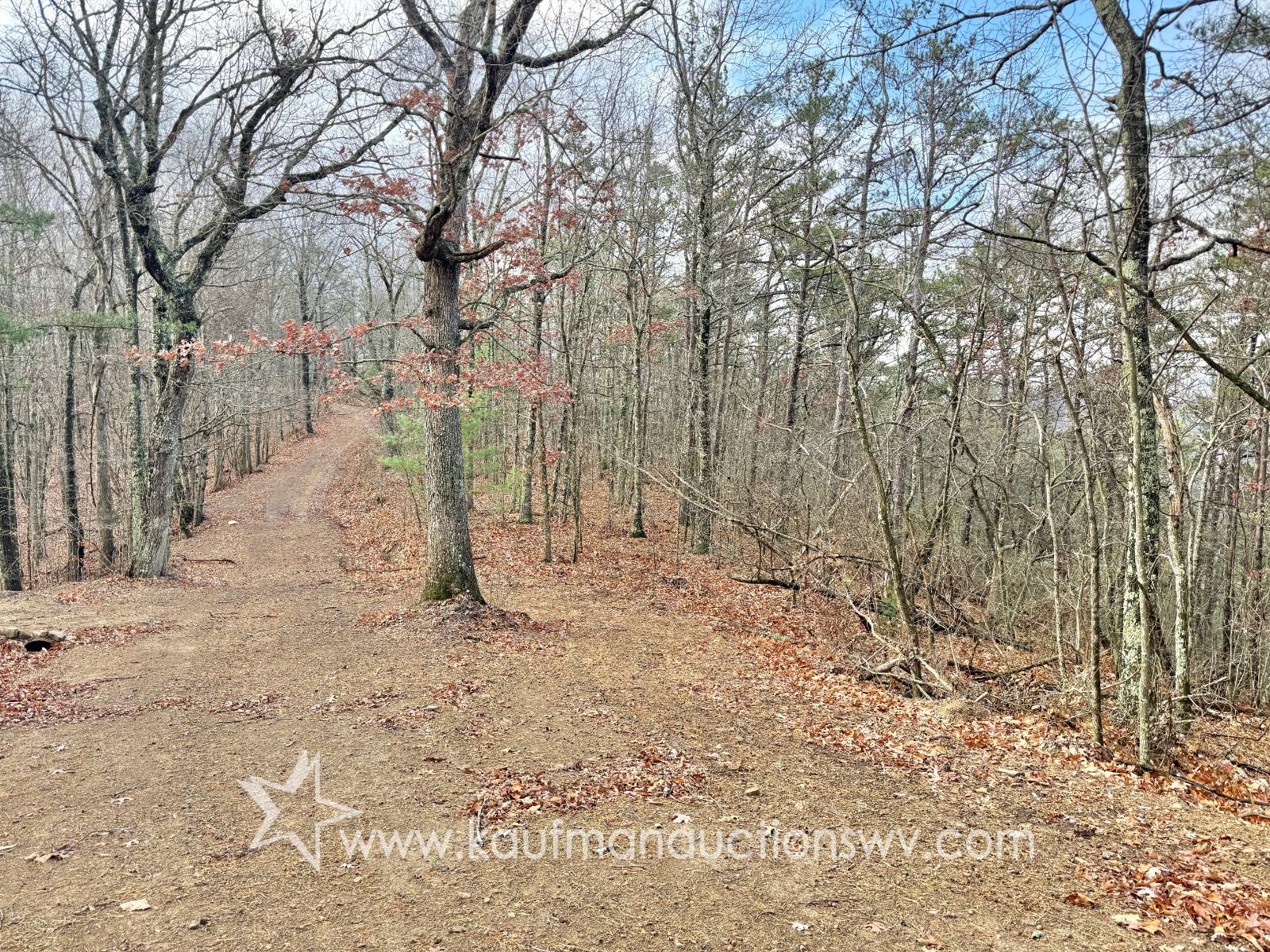 86+/- Acres Greenbrier Cou...