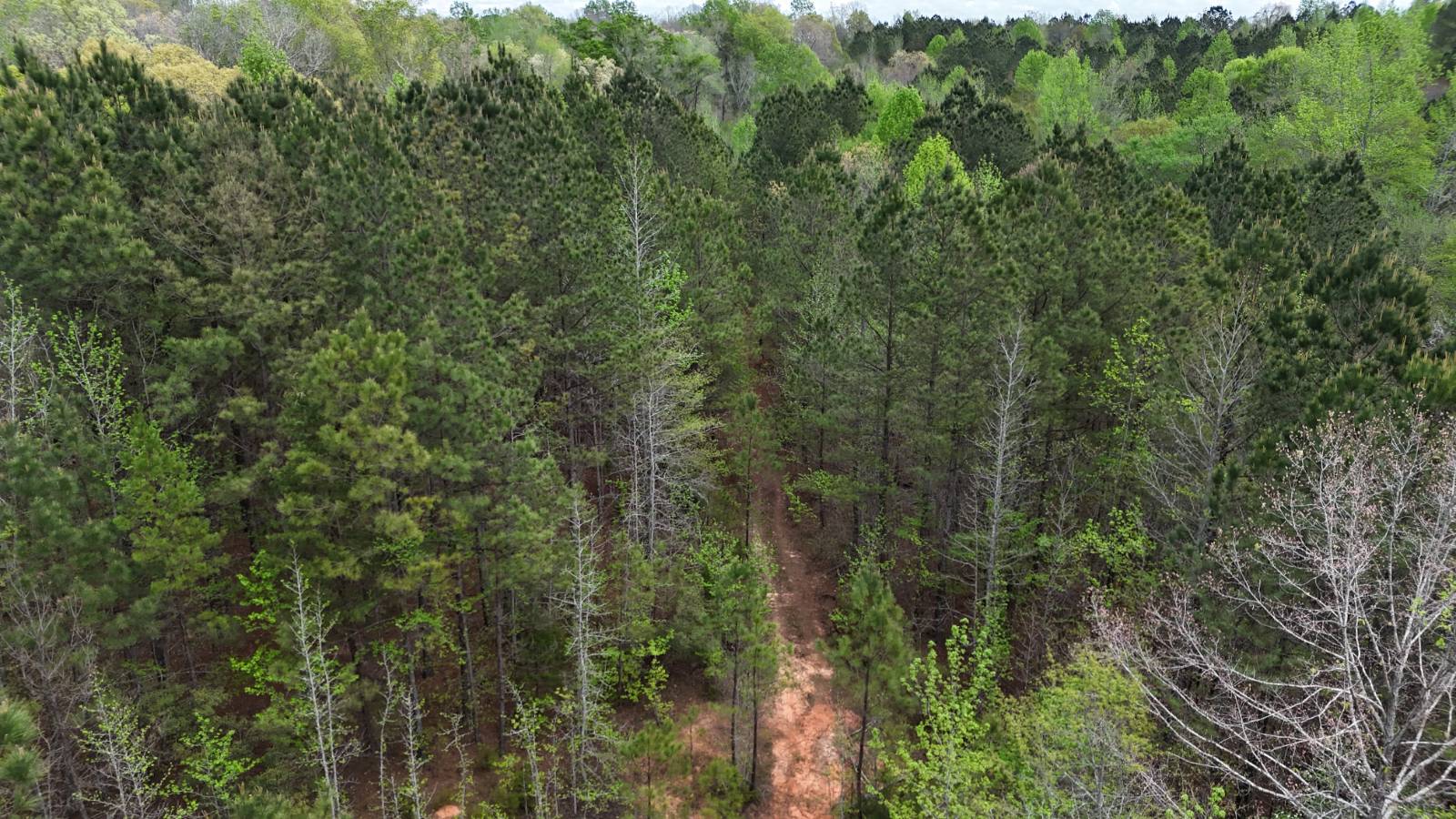 0 R Fork Forest Creek Road, Jacksonville, OR, 97530