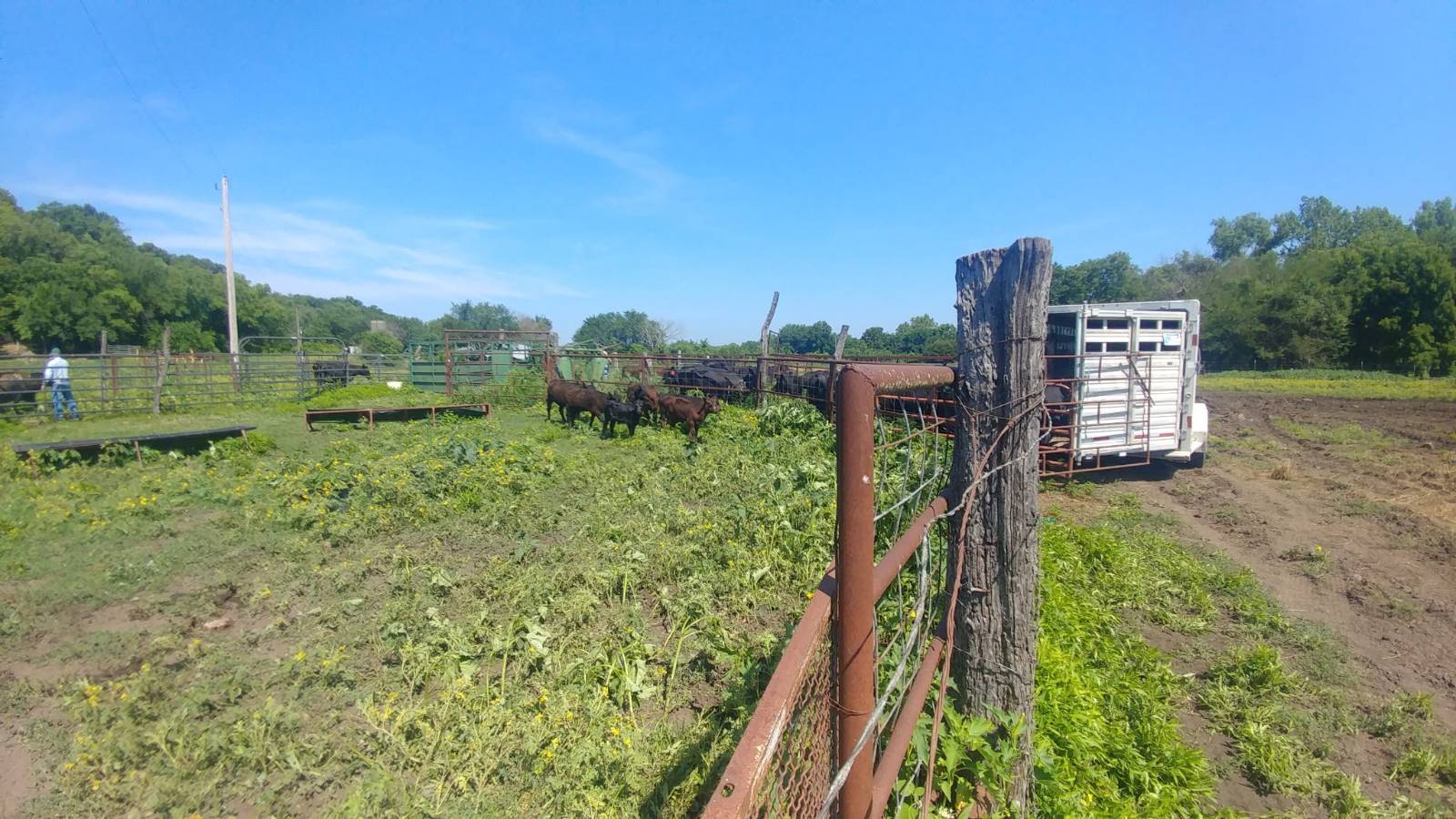 106 Vermont Terrace, Greeley, KS, 66033