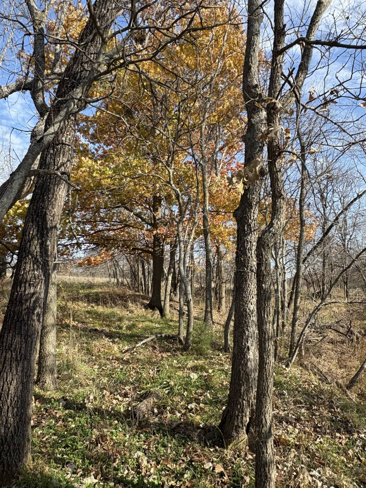 106 Vermont Terrace, Greeley, KS, 66033