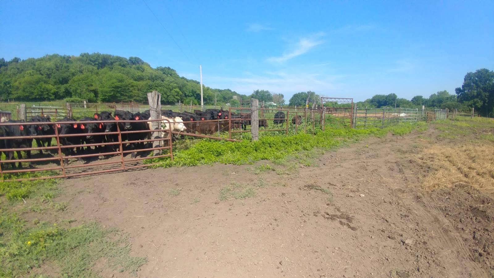 106 Vermont Terrace, Greeley, KS, 66033