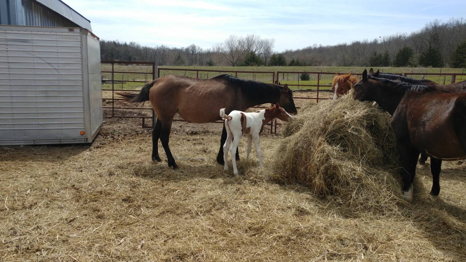 106 Vermont Terrace, Greeley, KS, 66033