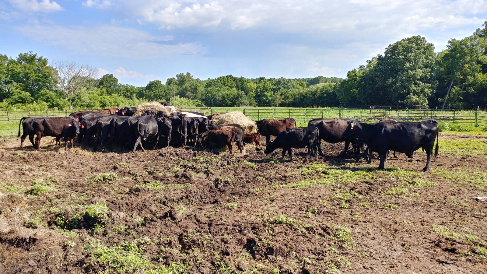 106 Vermont Terrace, Greeley, KS, 66033