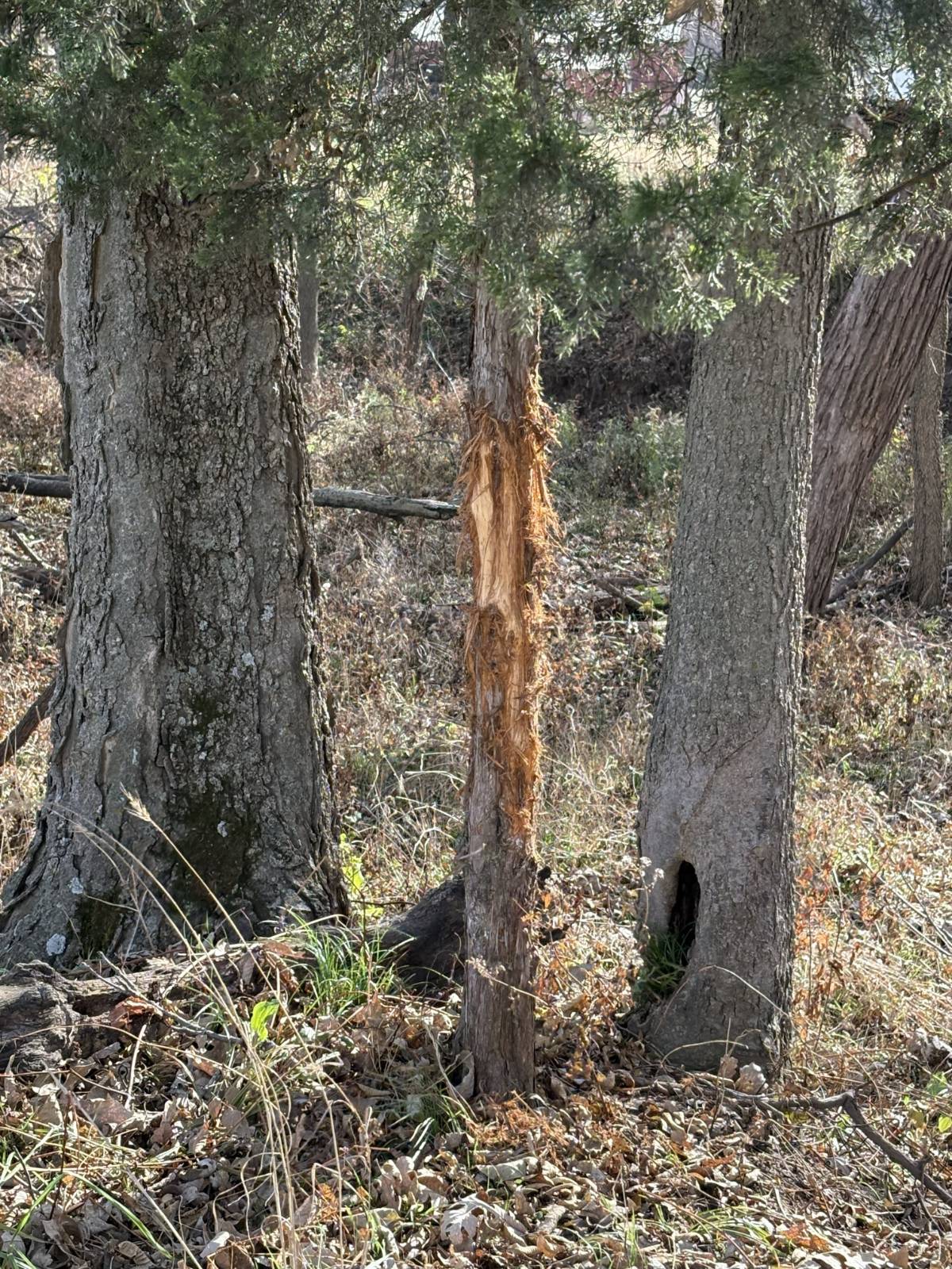 106 Vermont Terrace, Greeley, KS, 66033