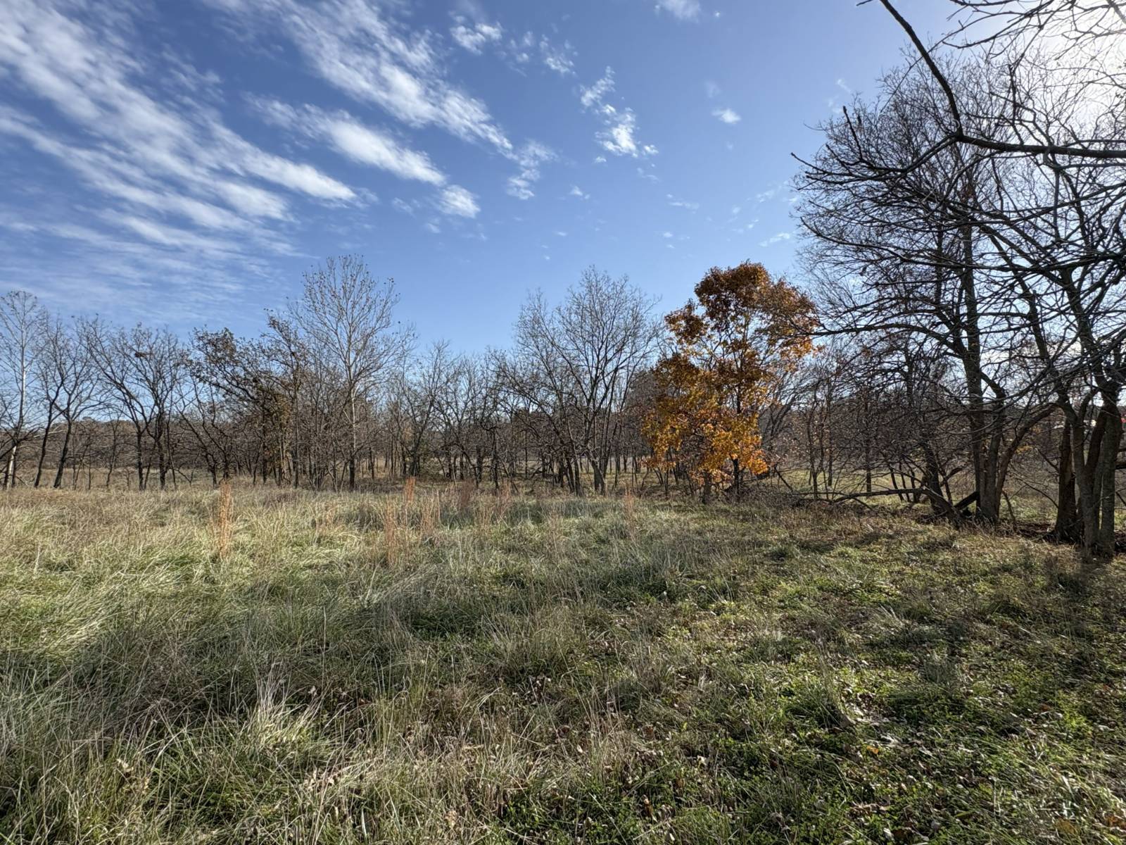 106 Vermont Terrace, Greeley, KS, 66033