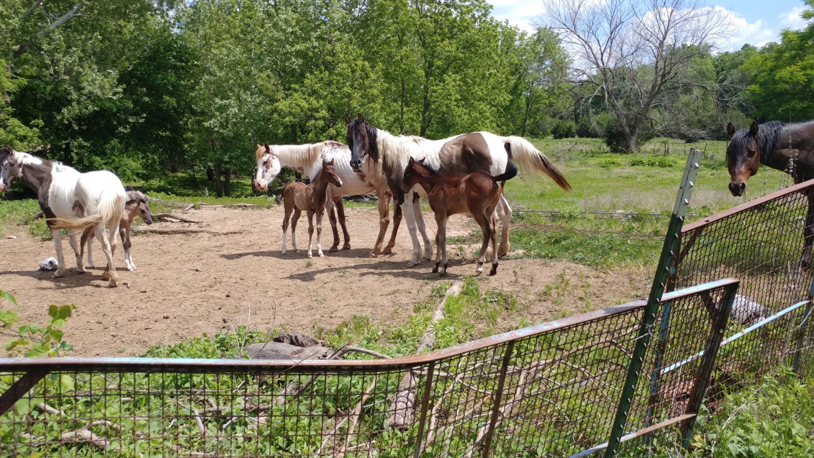 106 Vermont Terrace, Greeley, KS, 66033