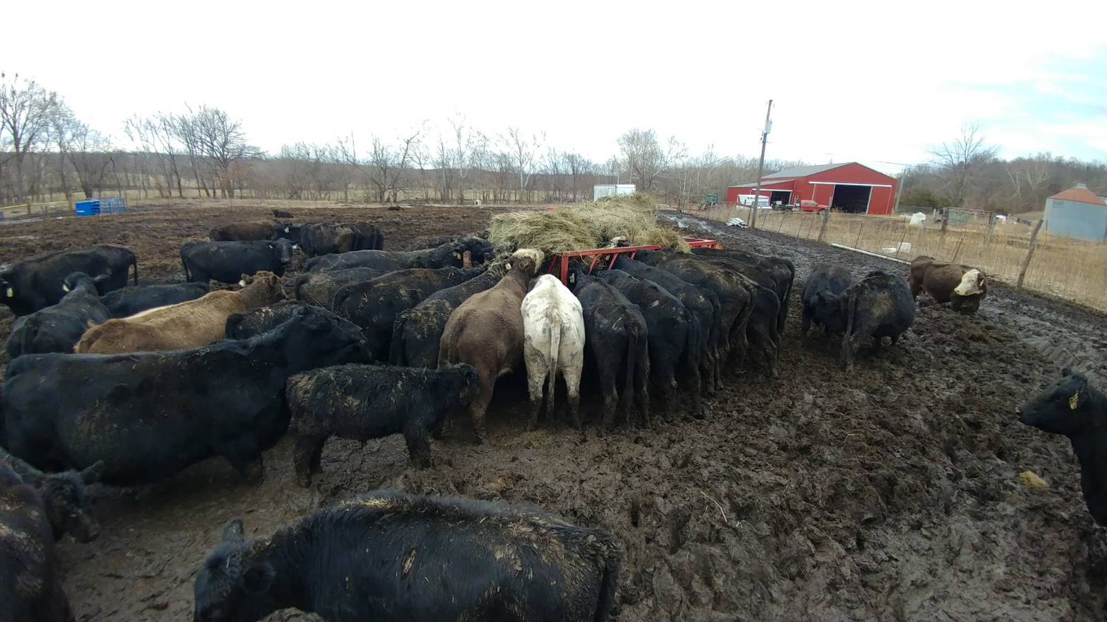 106 Vermont Terrace, Greeley, KS, 66033