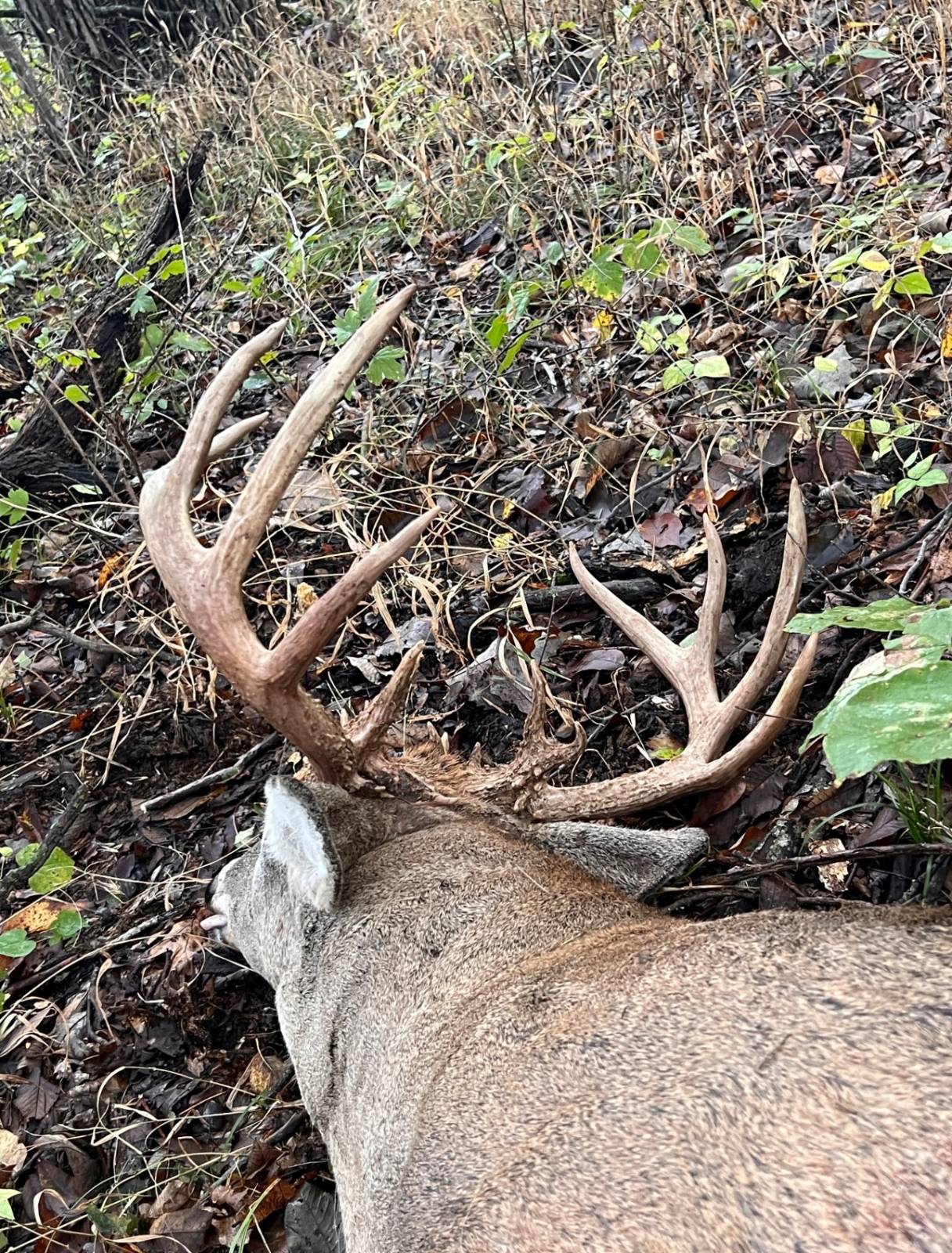 106 Vermont Terrace, Greeley, KS, 66033