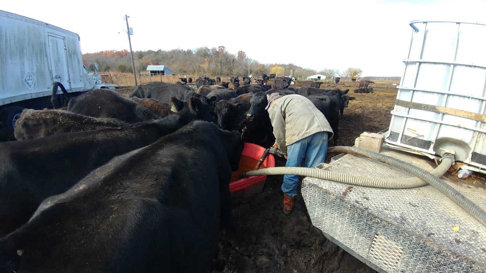 106 Vermont Terrace, Greeley, KS, 66033