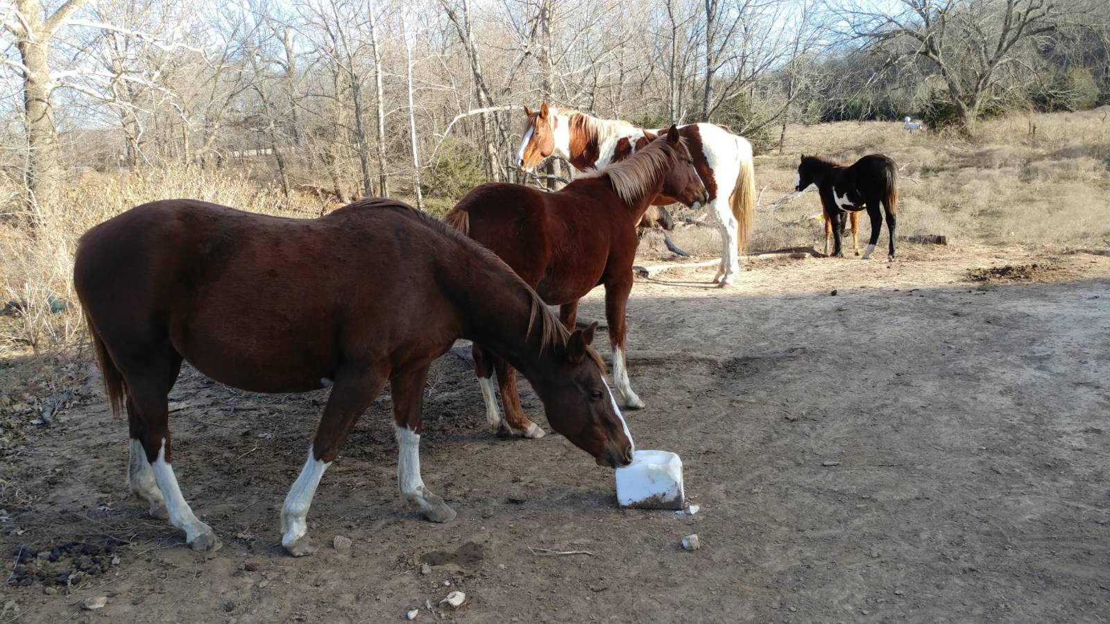 106 Vermont Terrace, Greeley, KS, 66033