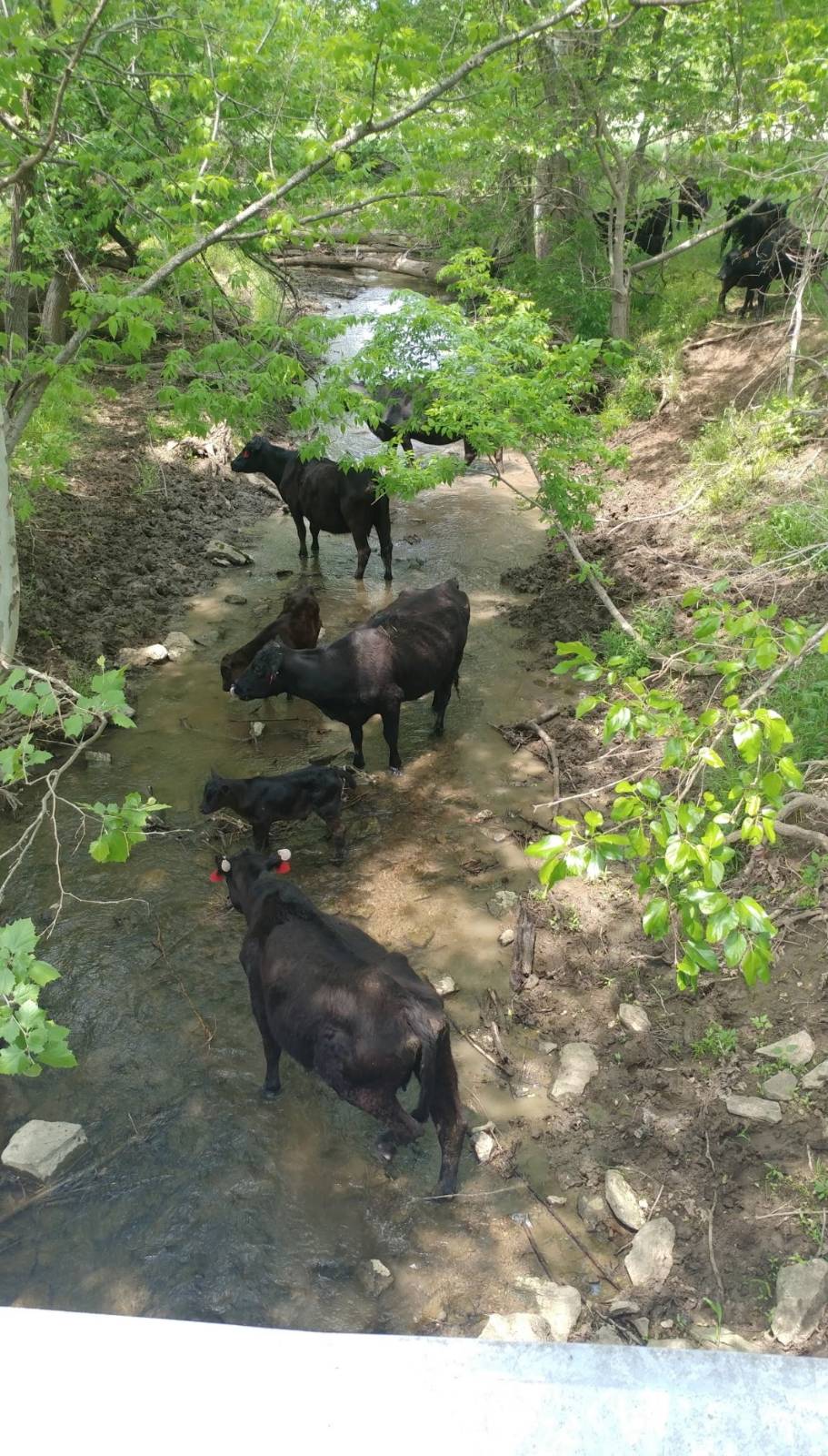 106 Vermont Terrace, Greeley, KS, 66033