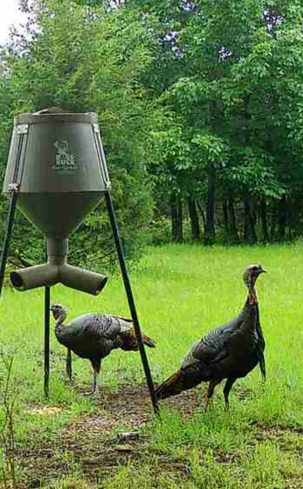 106 Vermont Terrace, Greeley, KS, 66033