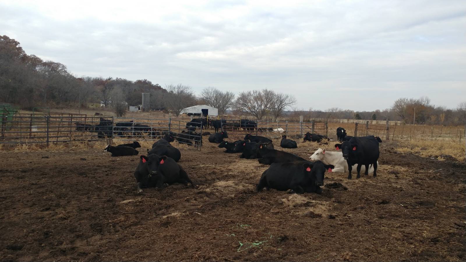 106 Vermont Terrace, Greeley, KS, 66033