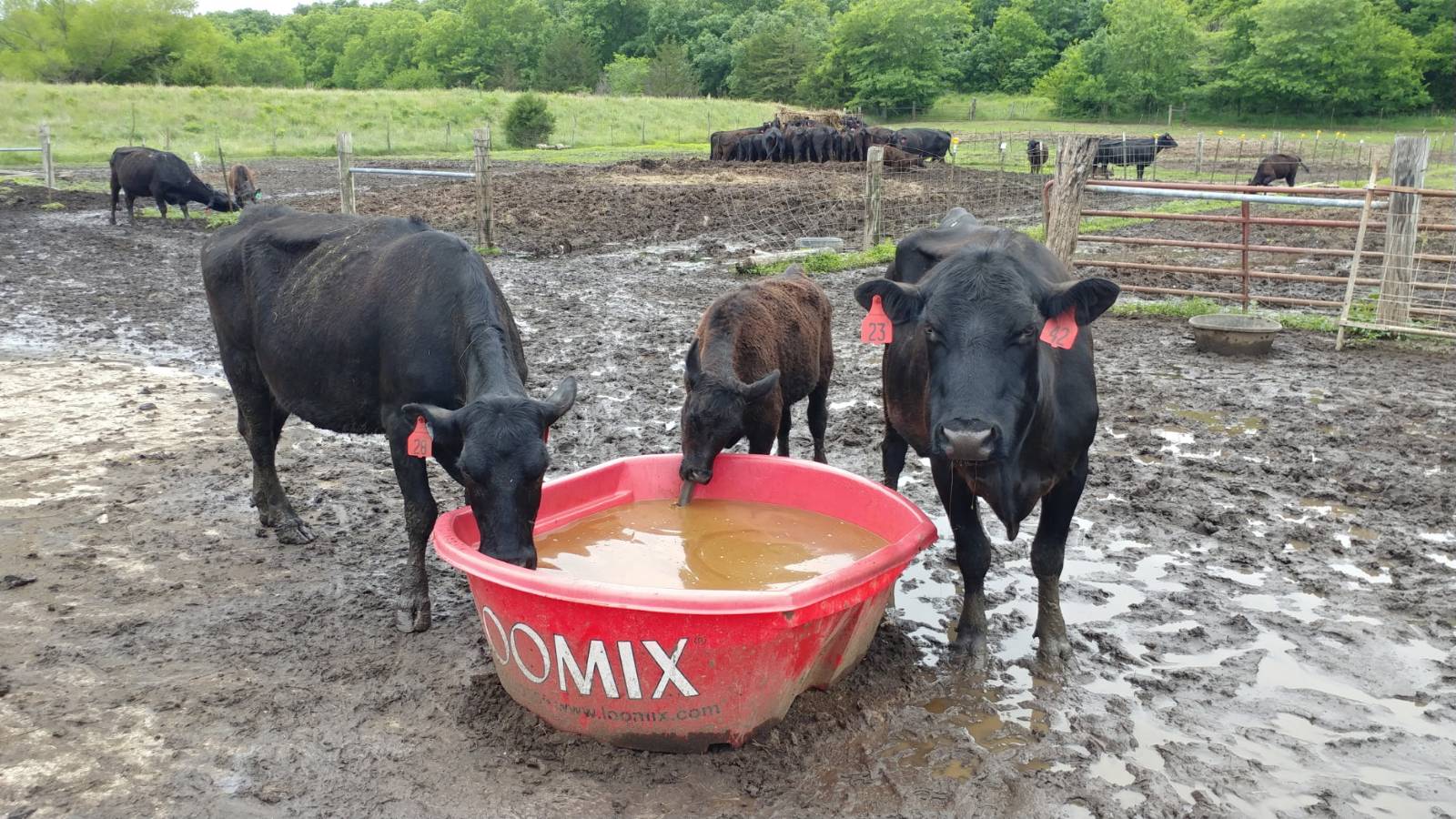 106 Vermont Terrace, Greeley, KS, 66033