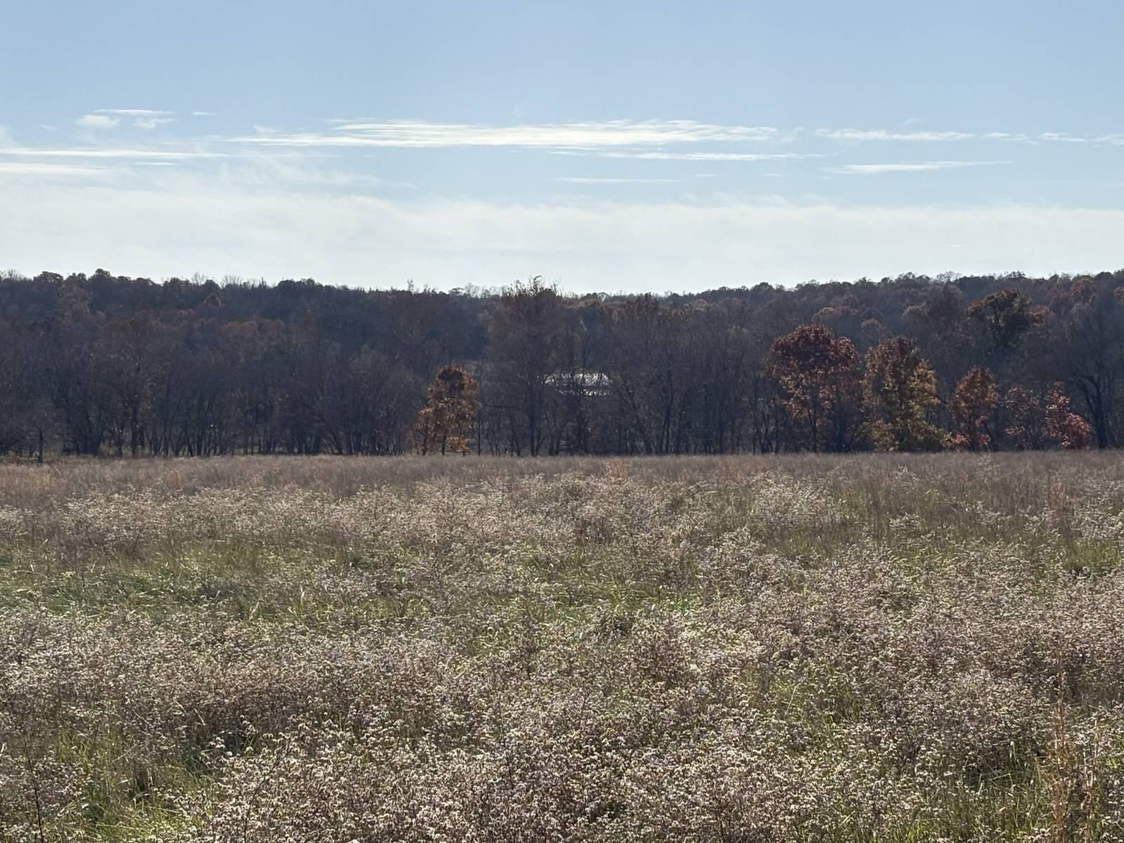 106 Vermont Terrace, Greeley, KS, 66033