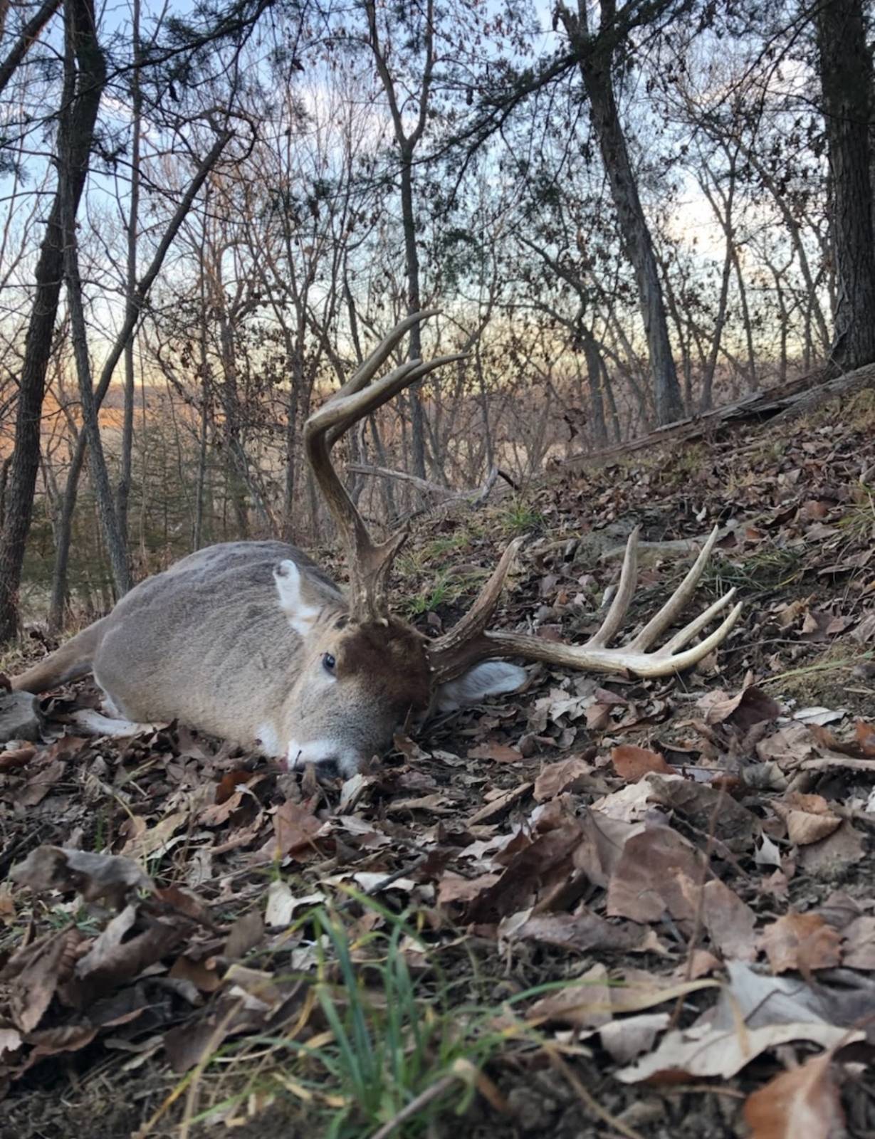 106 Vermont Terrace, Greeley, KS, 66033