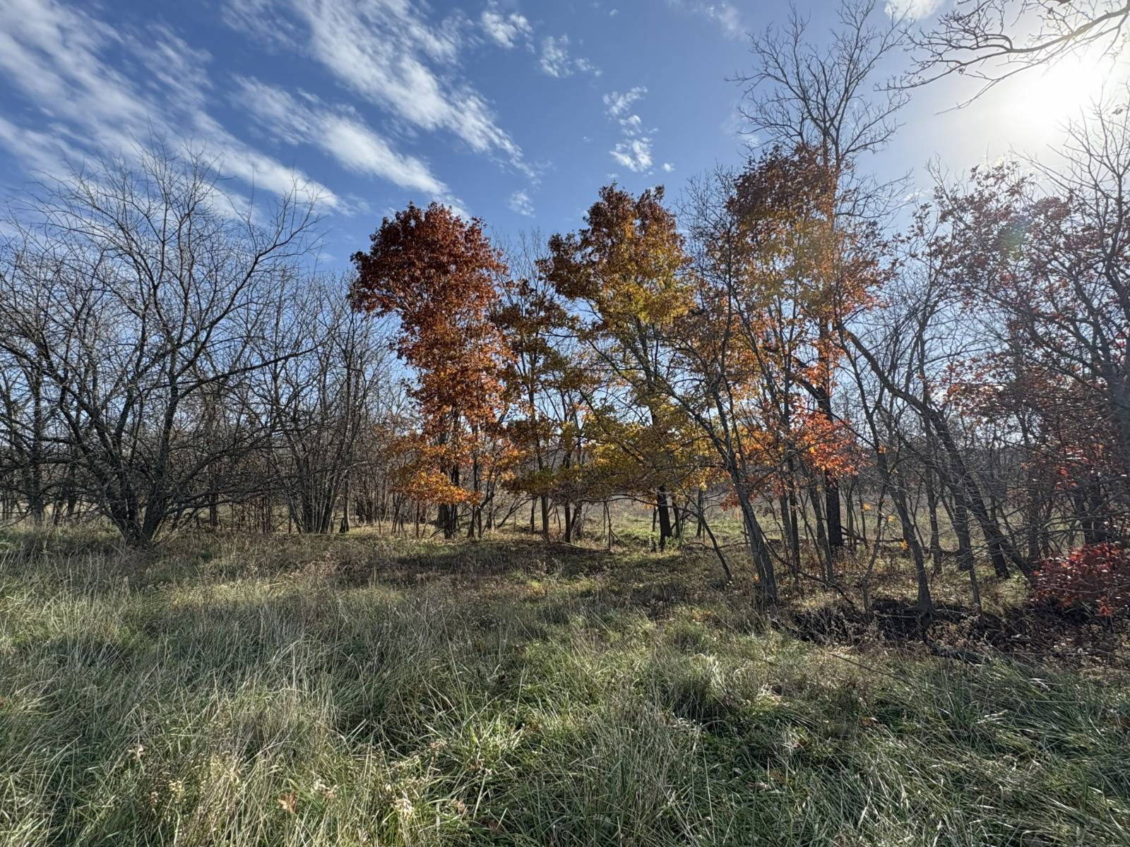 106 Vermont Terrace, Greeley, KS, 66033