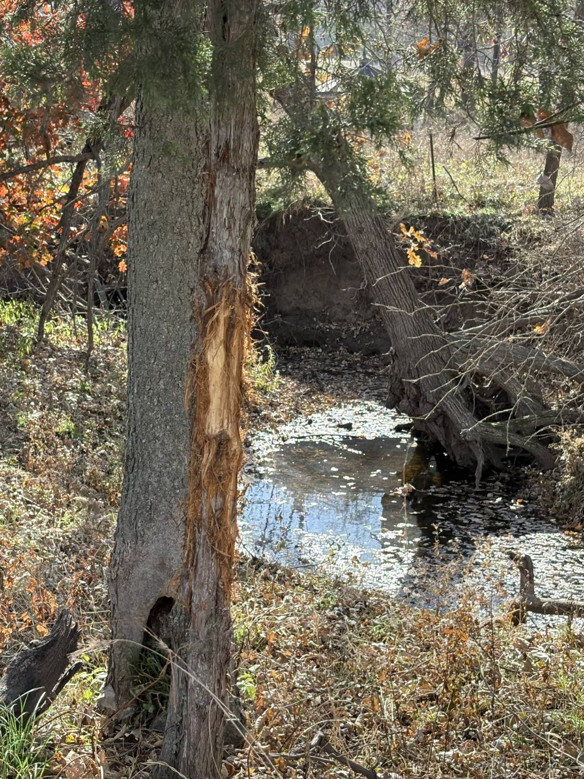 106 Vermont Terrace, Greeley, KS, 66033