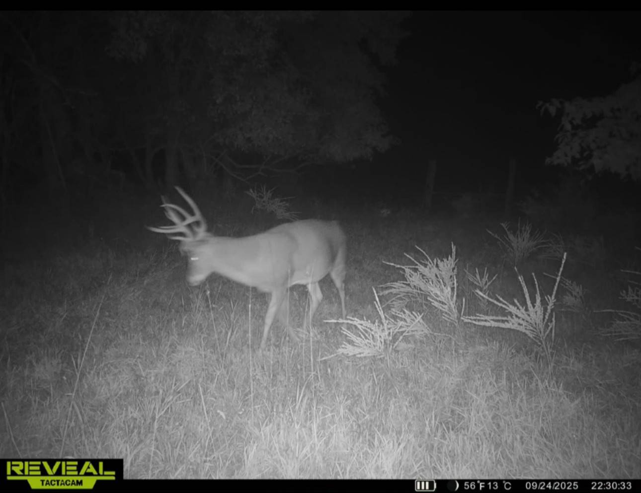 106 Vermont Terrace, Greeley, KS, 66033