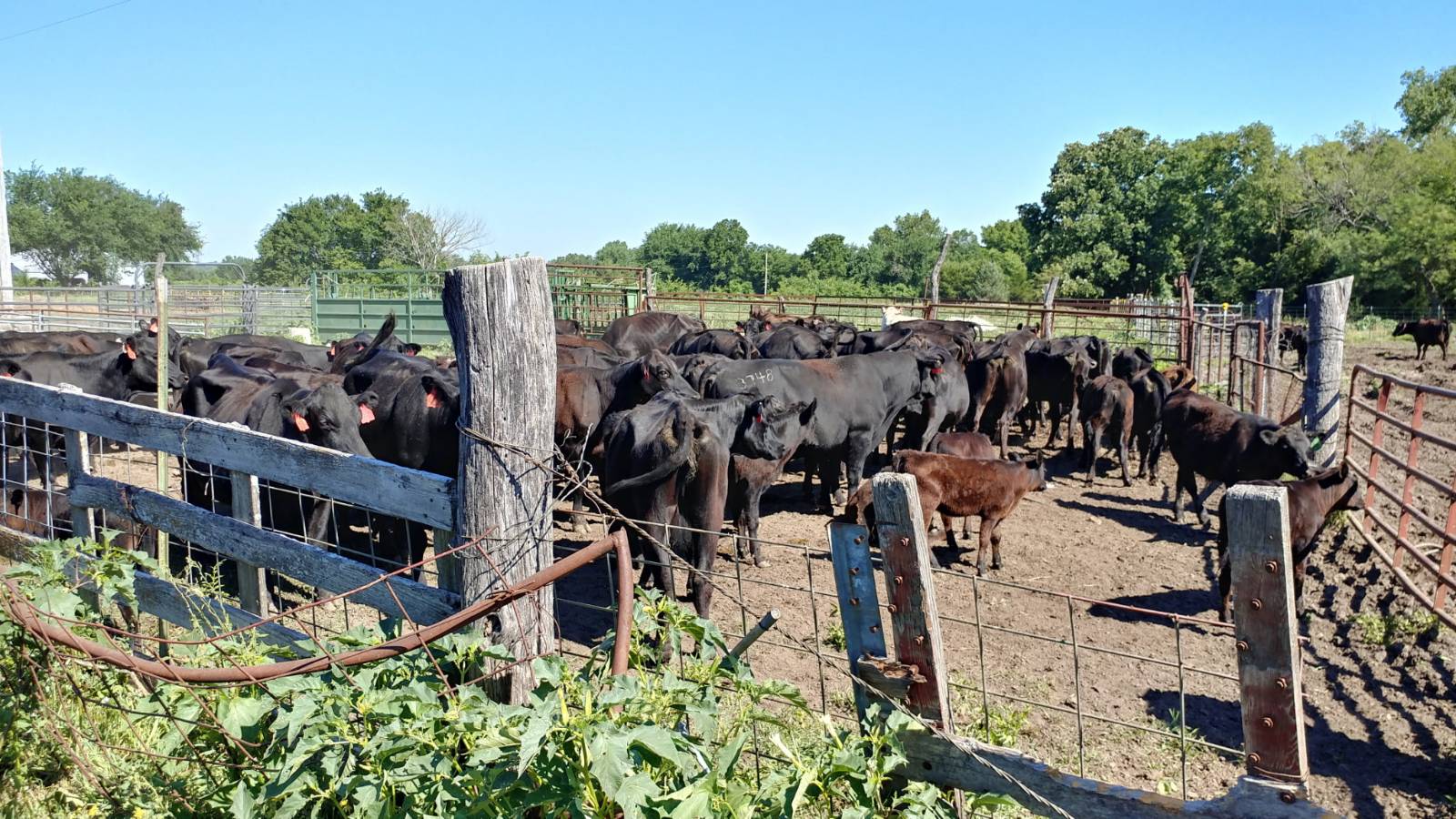 106 Vermont Terrace, Greeley, KS, 66033