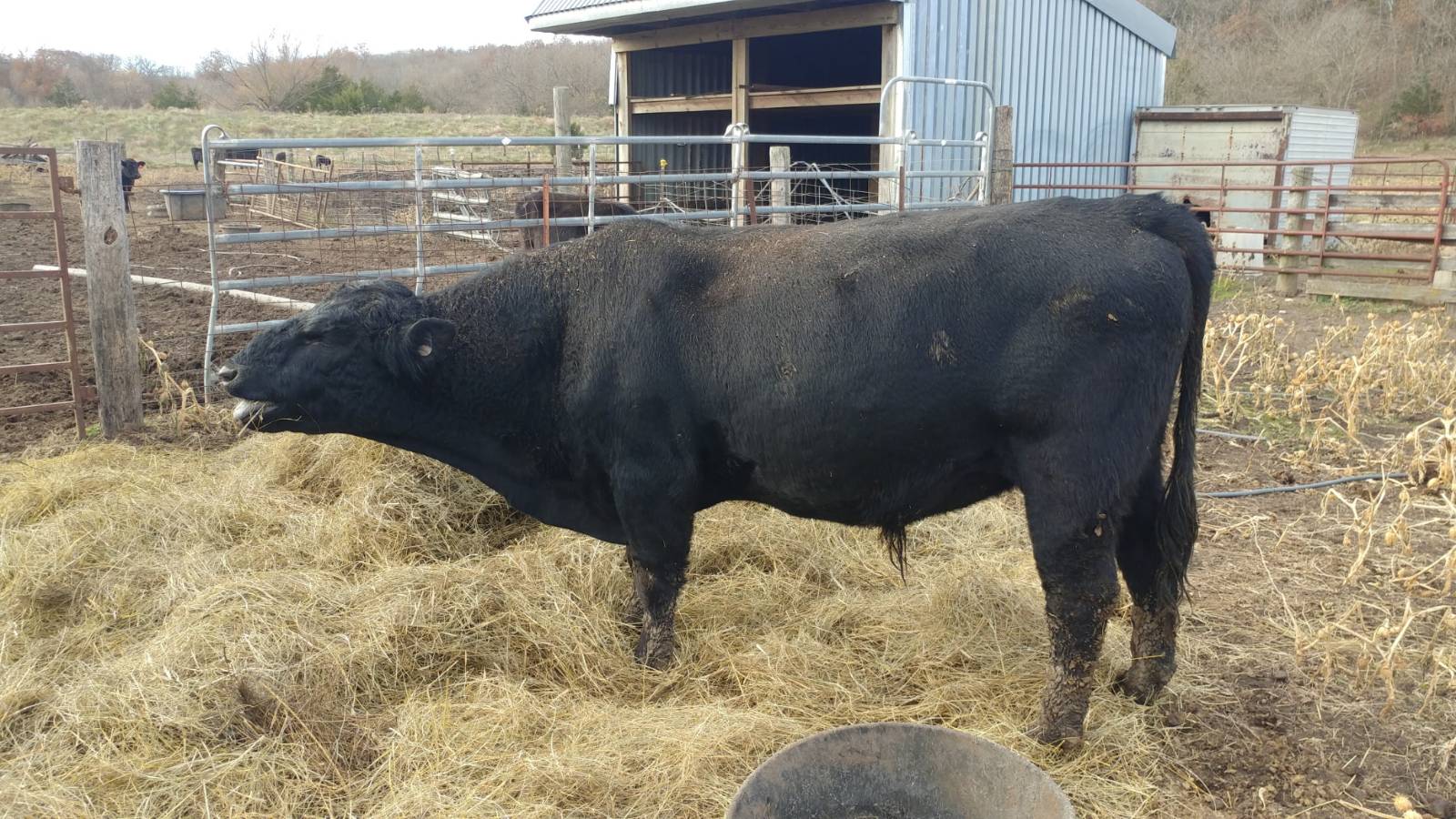 106 Vermont Terrace, Greeley, KS, 66033