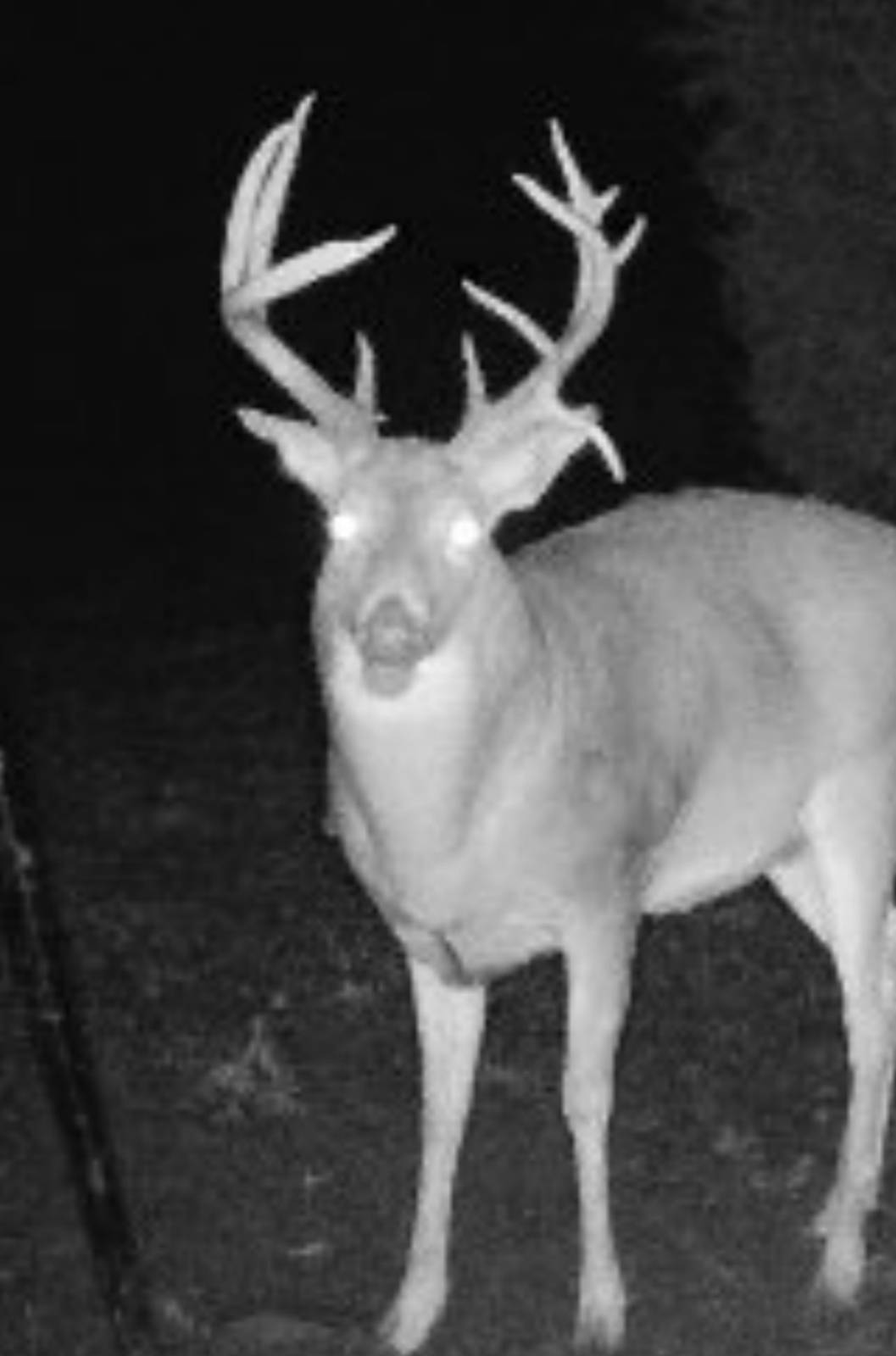 106 Vermont Terrace, Greeley, KS, 66033