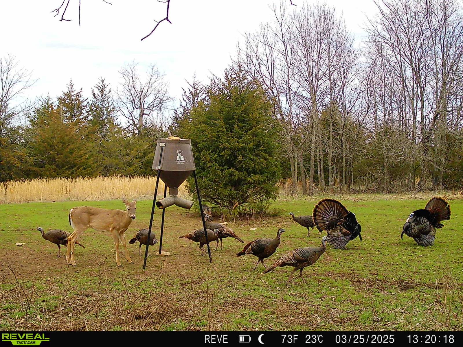 106 Vermont Terrace, Greeley, KS, 66033