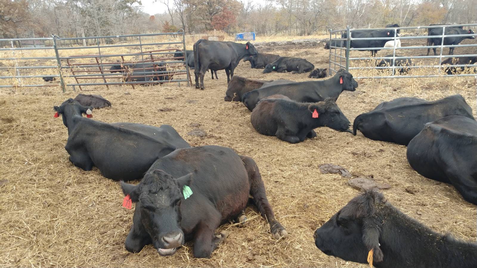 106 Vermont Terrace, Greeley, KS, 66033