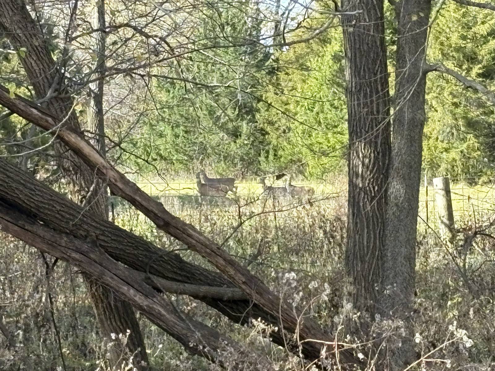 106 Vermont Terrace, Greeley, KS, 66033