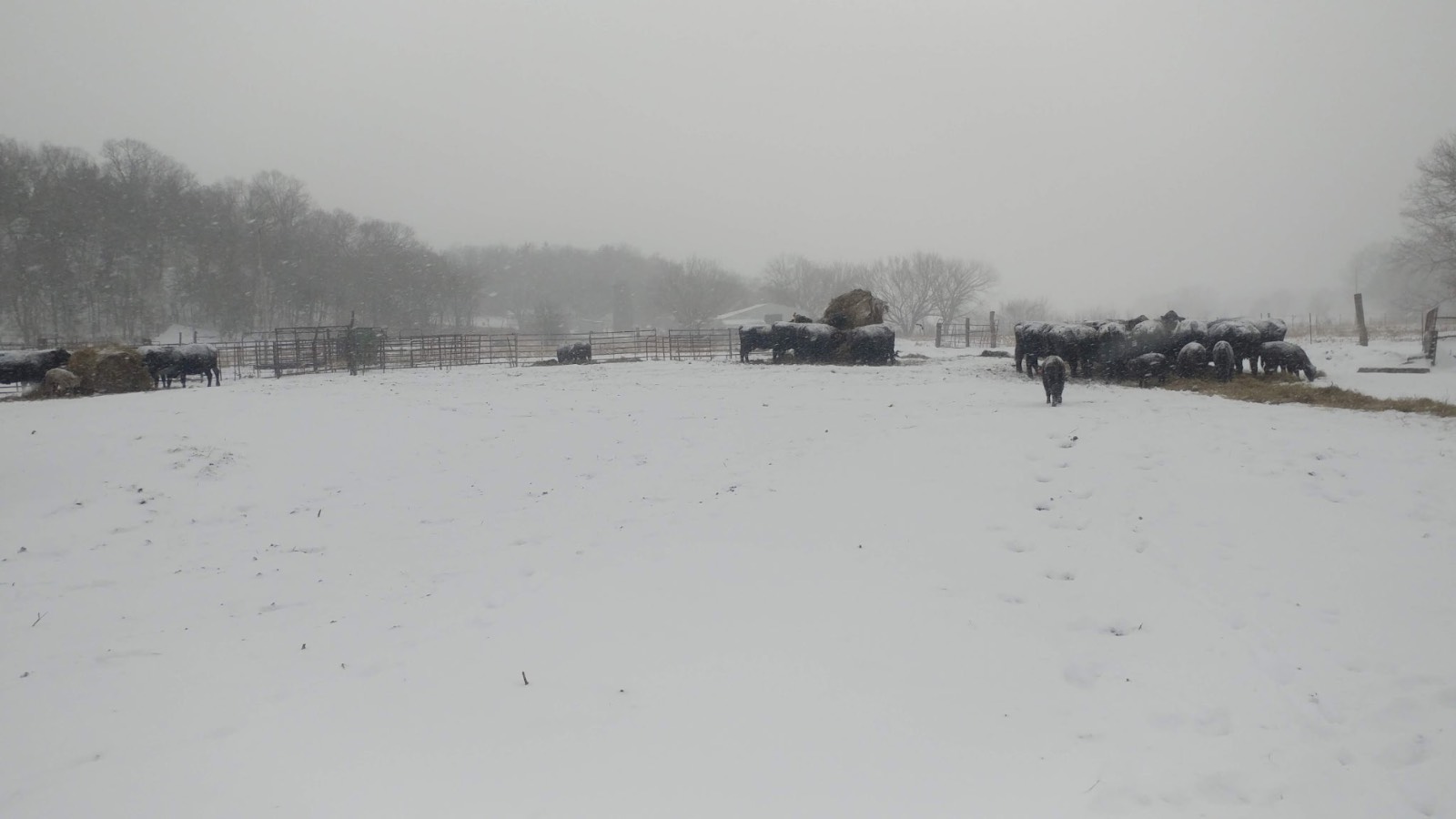 106 Vermont Terrace, Greeley, KS, 66033