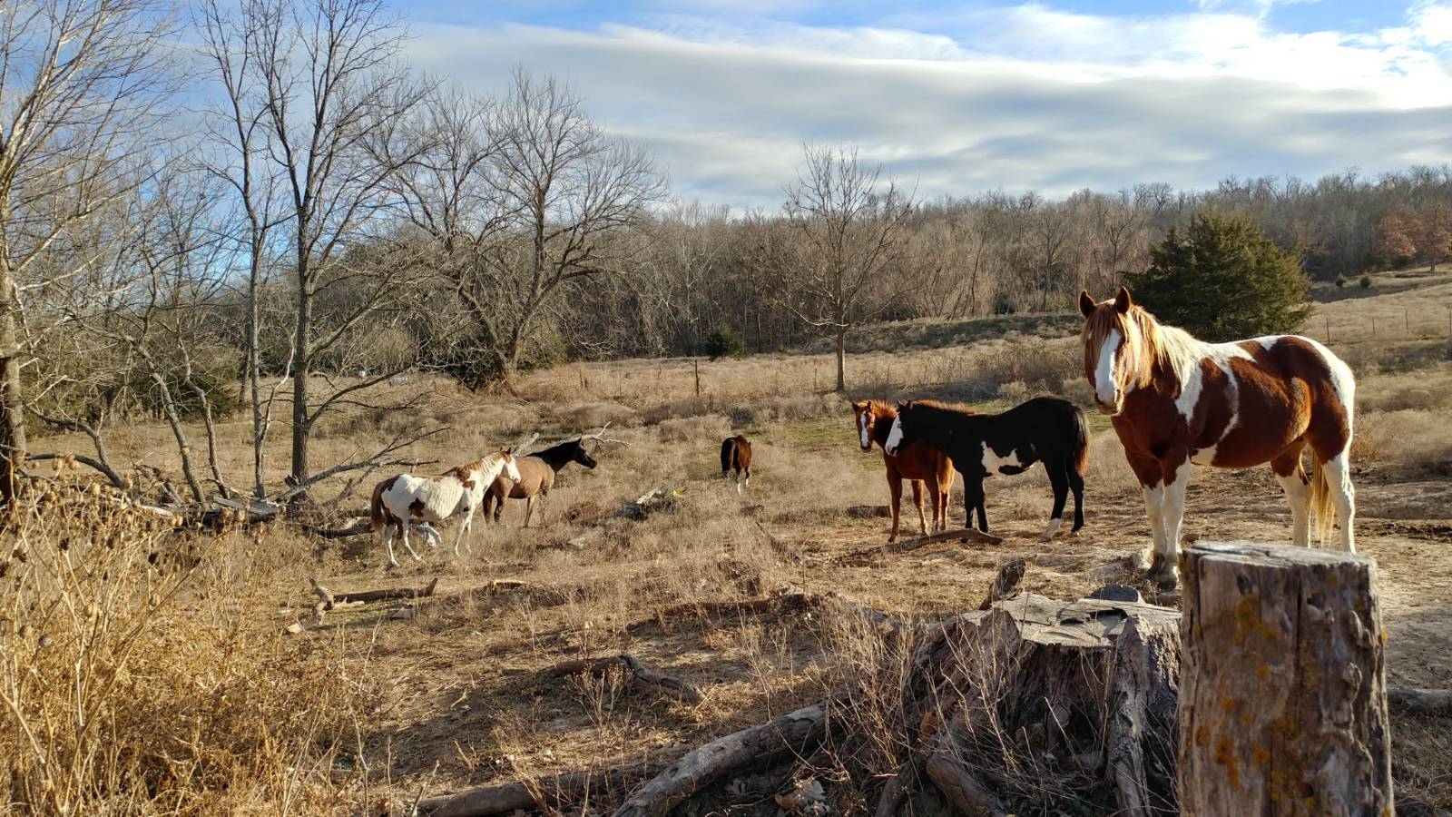 106 Vermont Terrace, Greeley, KS, 66033