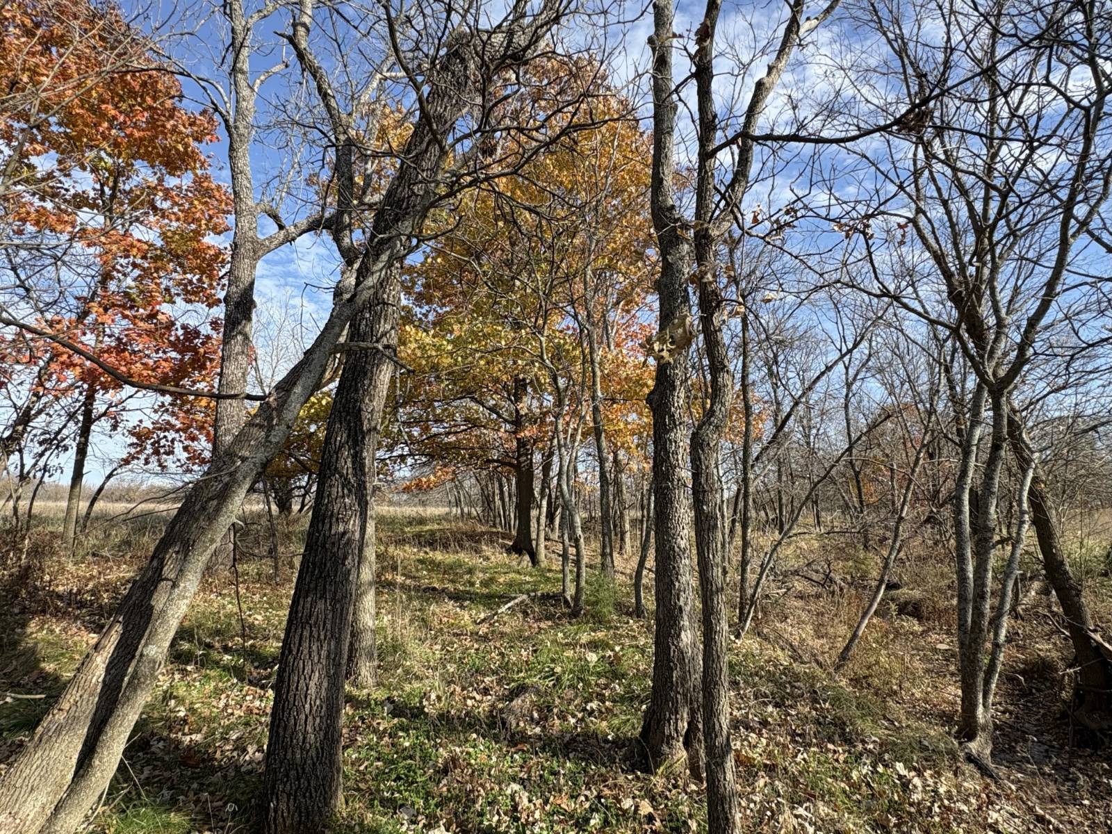 106 Vermont Terrace, Greeley, KS, 66033