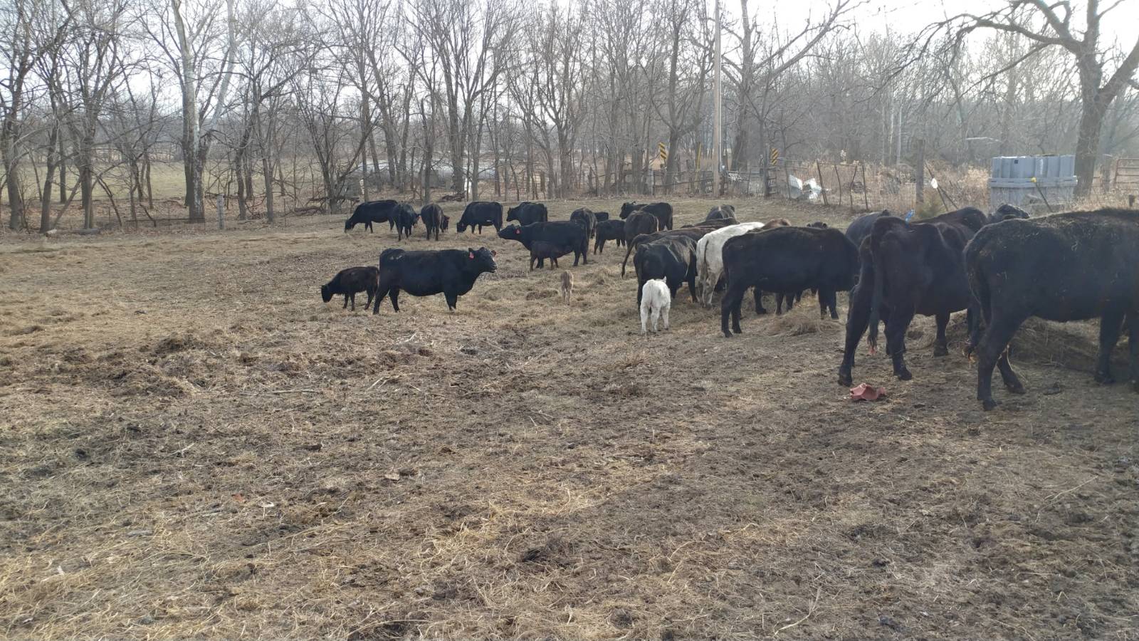 106 Vermont Terrace, Greeley, KS, 66033